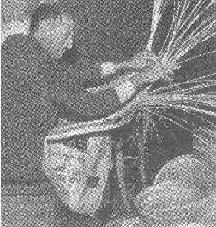 10154441_1438412899749312_5928384257262011620_n